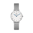 DANIEL WELLINGTON | PETITE ROMAN NUMERALS STERLING Silver 28mm | DW00100684